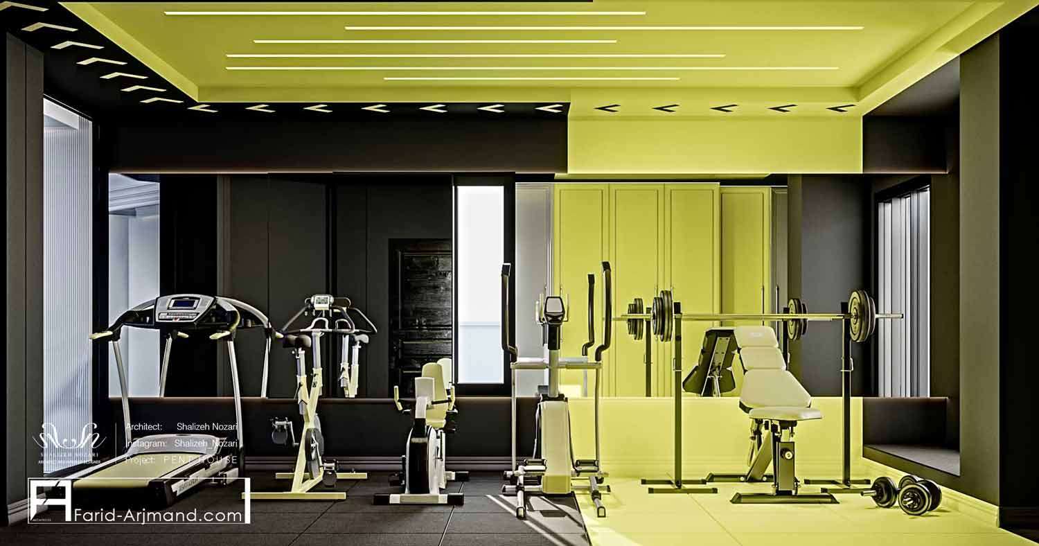 Penthouse B29 Gym